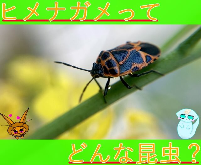 Thumbnail of post image 108